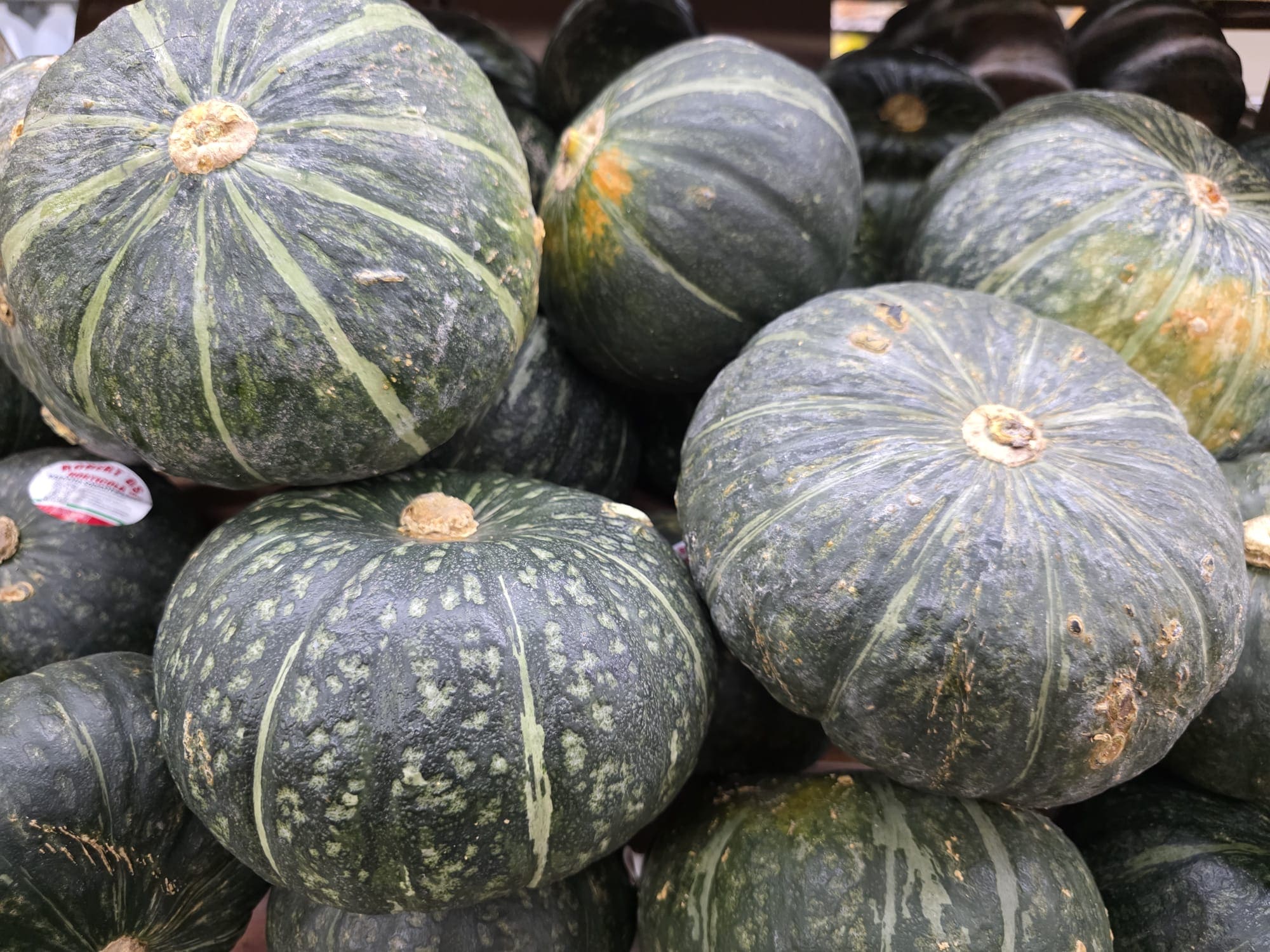 Fresh vegetables at Plaza Tropical